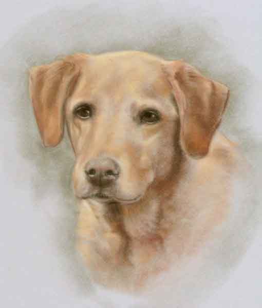 pastel portrait dog