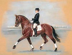 dressage